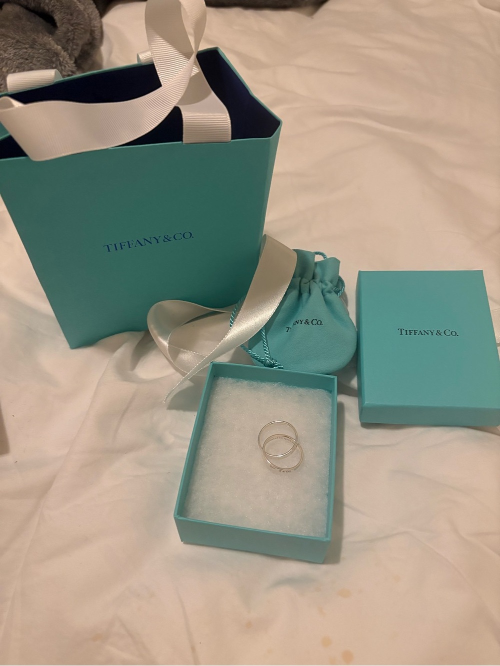 Tiffany & Co. Silver Interlocking Rings with Signature Blue Packaging